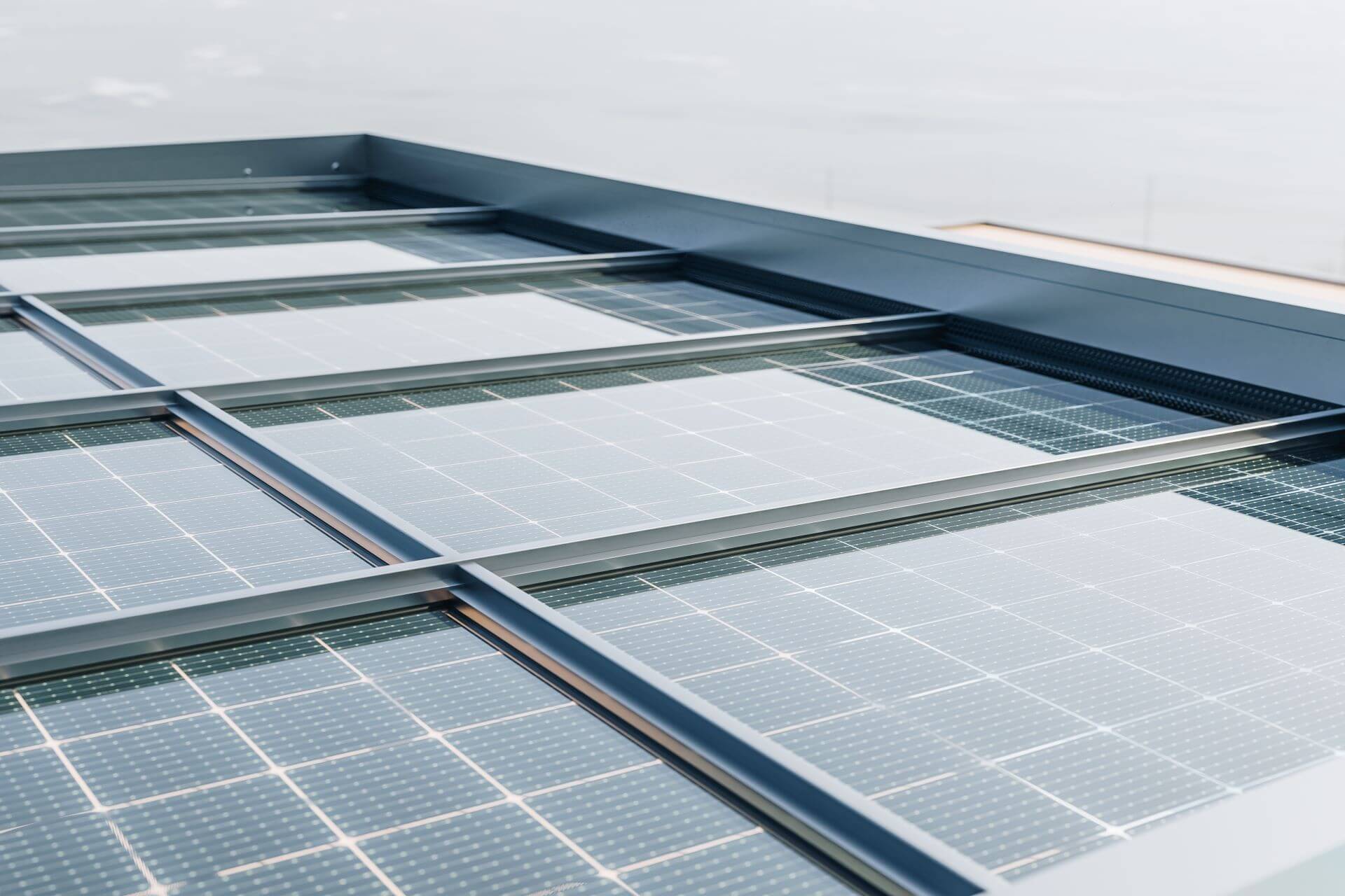 Danenberg Shop - Aluminium Overkapping Cubo Solar - Vrijstaand